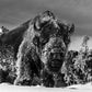 The Beast Of Yellowstone-Photographic Print-David Yarrow-Sorrel Sky Gallery