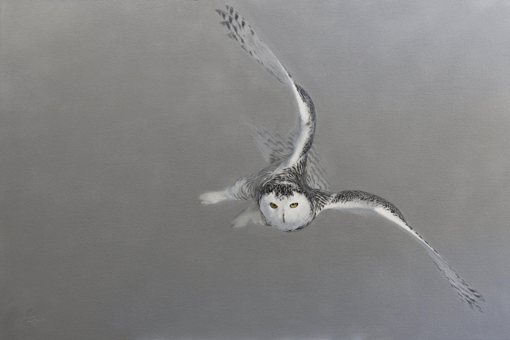 Ghost Owl-Painting-Doyle Hostetler-Sorrel Sky Gallery