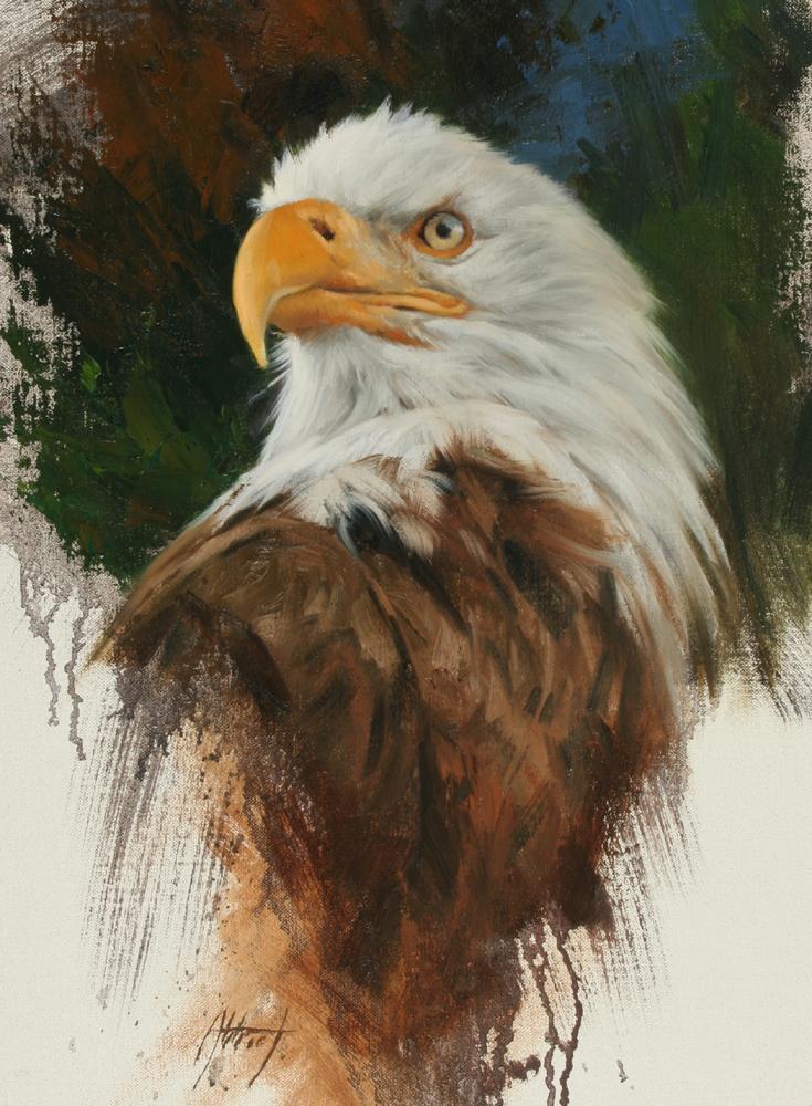 Edward Aldrich-Bald Eagle Portrait-Sorrel Sky Gallery-Painting