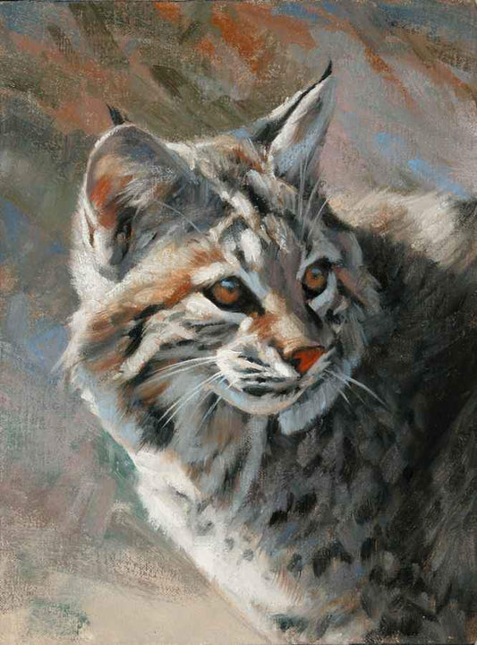 Edward Aldrich-Bobcat Portrait-Sorrel Sky Gallery-Painting