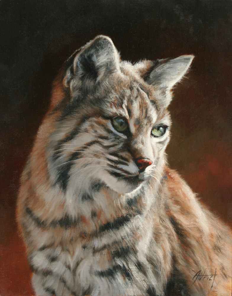 Bobcat Portrait-Painting-Edward Aldrich-Sorrel Sky Gallery
