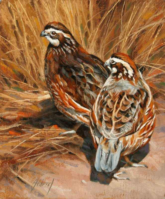 Edward Aldrich-Bobwhite Pair-Sorrel Sky Gallery-Painting