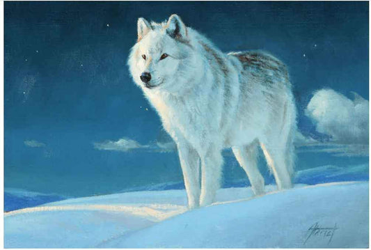 Edward Aldrich-Cool Night Air-Sorrel Sky Gallery-Painting