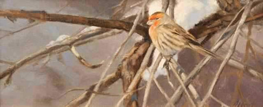 Edward Aldrich-House Finch-Sorrel Sky Gallery-Painting