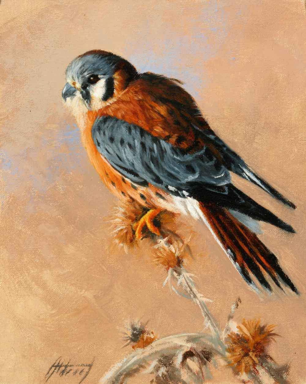 Edward Aldrich-Kestrel-Sorrel Sky Gallery-Painting
