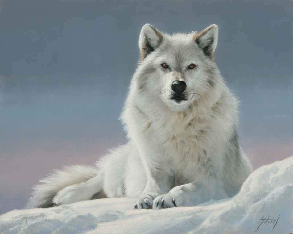 Edward Aldrich-Sorrel Sky Gallery-Painting-Wolf