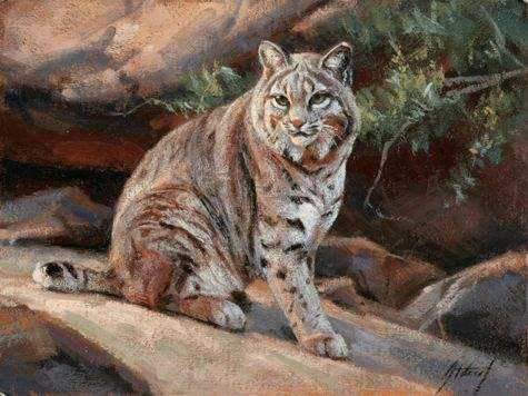 Edward Aldrich-Perfect Spot-Sorrel Sky Gallery-Painting