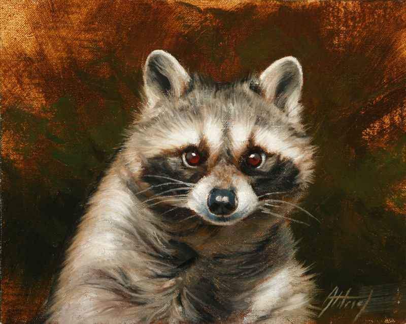 Edward Aldrich-Raccoon Portrait-Sorrel Sky Gallery-Painting