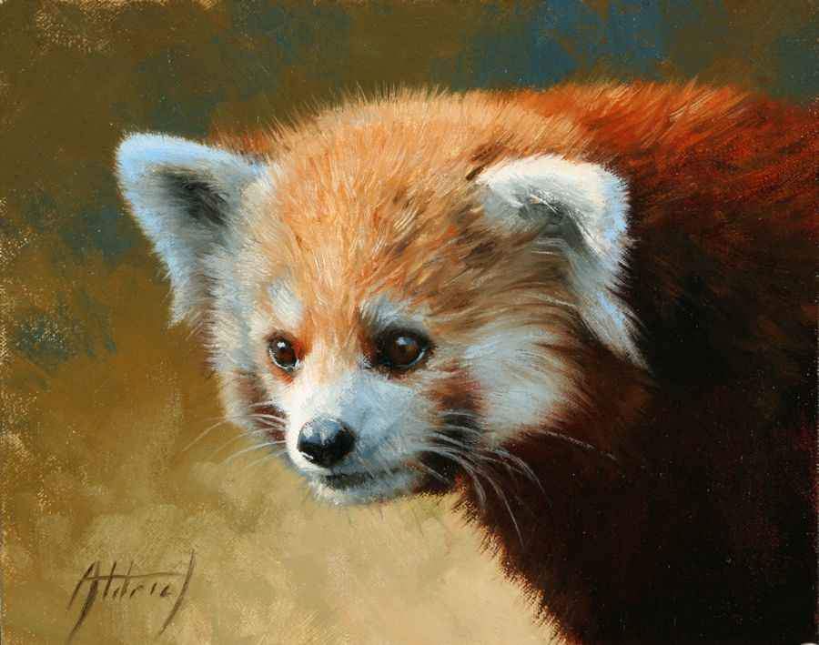 Edward Aldrich-Red Panda Portrait-Sorrel Sky Gallery-Painting