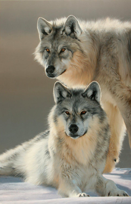 Untitled - Wolf Pair-Painting-Edward Aldrich-Sorrel Sky Gallery