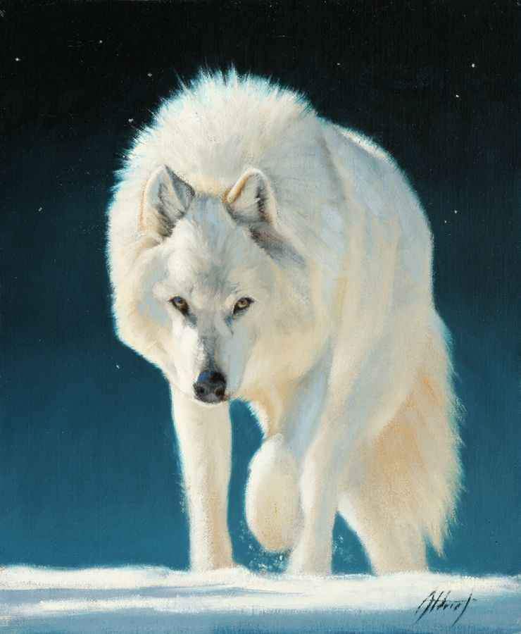 Edward Aldrich-White Wolf-Sorrel Sky Gallery-Painting