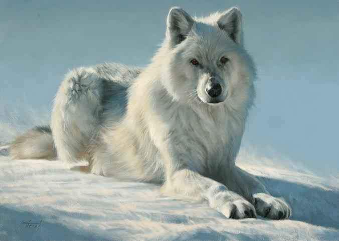 Edward Aldrich-White Wolf-Sorrel Sky Gallery-Painting
