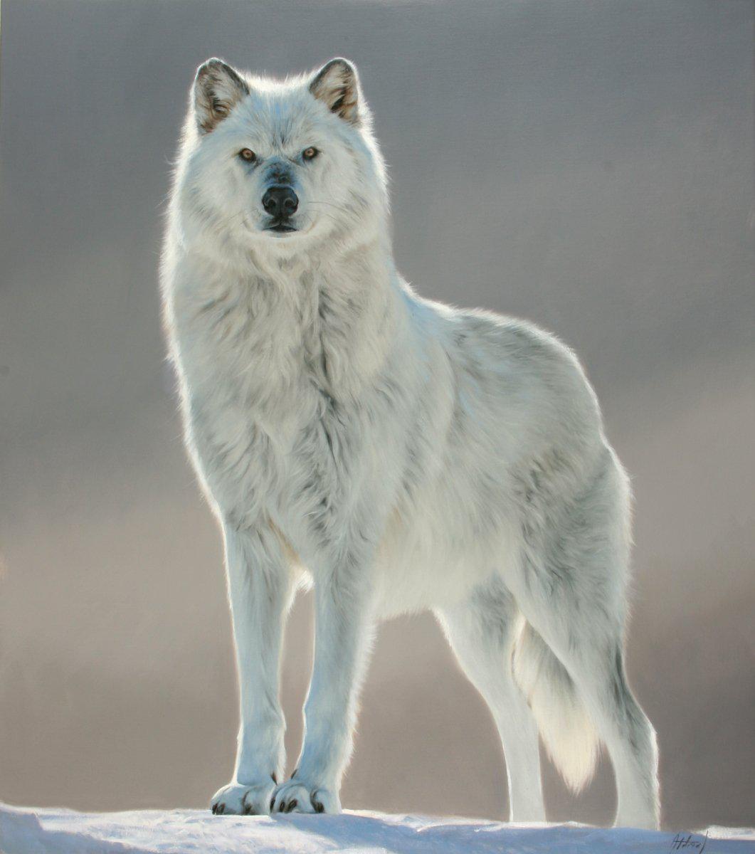Wolf (Untitled)-Painting-Edward Aldrich-Sorrel Sky Gallery