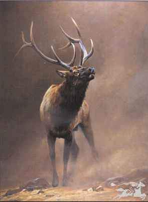 Edward Aldrich. Bull Elk. Elk. Elk Portrait. Sorrel Sky Gallery. Durango Art Galleries. Sorrel Sky. Aldrich Art. Wildlife Art. Wildlife Portrait. Wildlife Paintings.