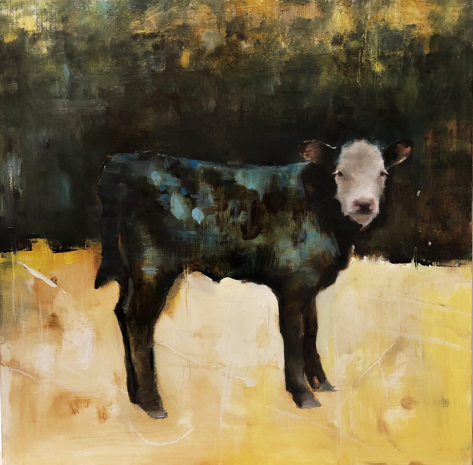 Calf Portrait. Black Calf, white face with accents of blue and green jewel colors. Contemporary western painting.