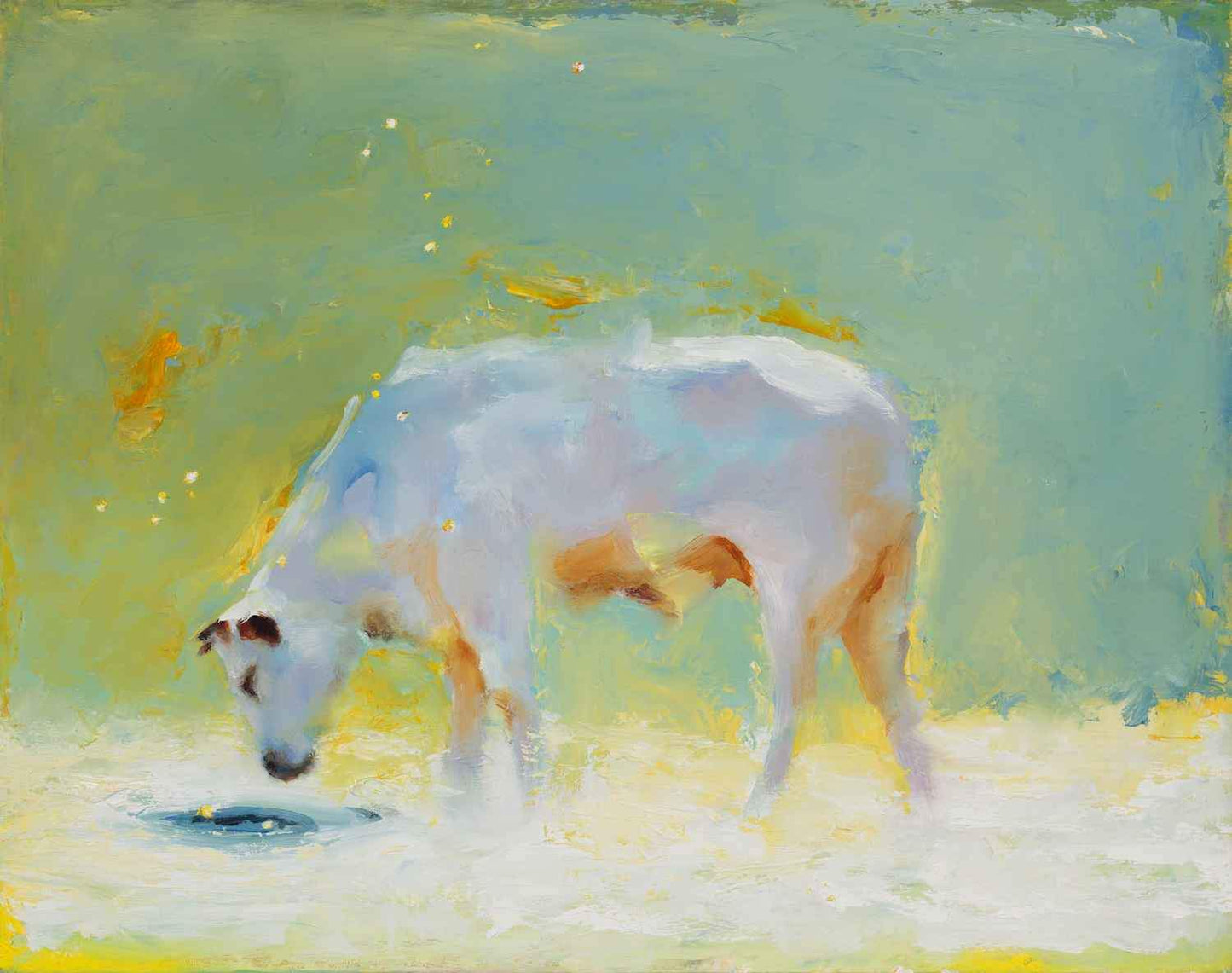 A soft soothing image of a cow standing and drinking from a pond. White Cow, blue-green sky and a white pond. 