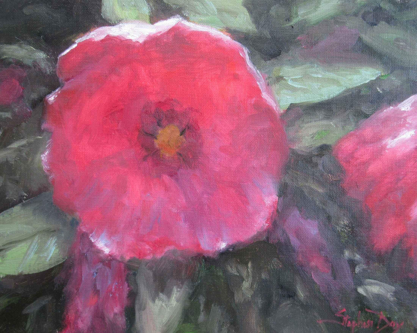 Painting of a Hibiscus flower by Stephen Day. Pink Flower. Sorrel Sky Gallery.