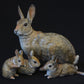Rabbit Family Sculpture.