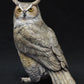Great Horned Owl I