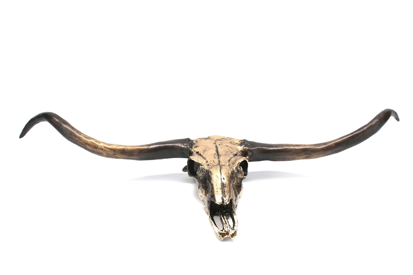 Jim Eppler-Longhorn Skull-Sorrel Sky Gallery-Sculpture