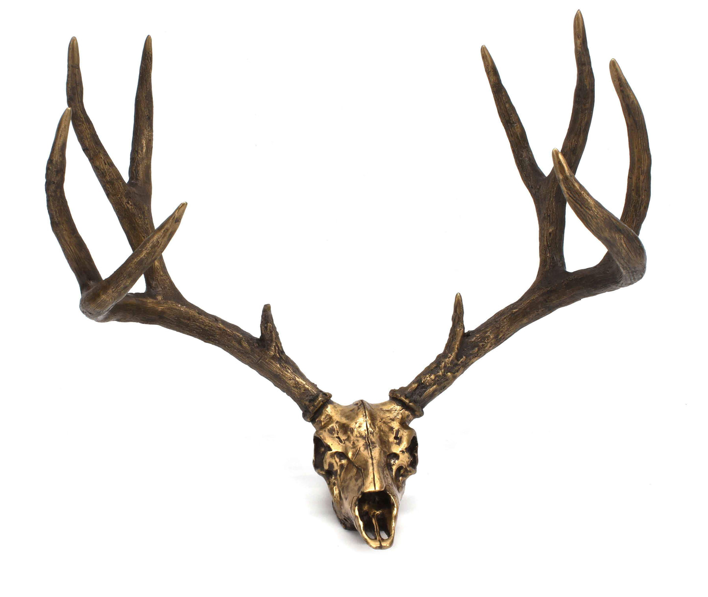 Jim Eppler-Mule Deer Skull-Sorrel Sky Gallery-Sculpture