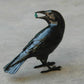 Small Raven VII