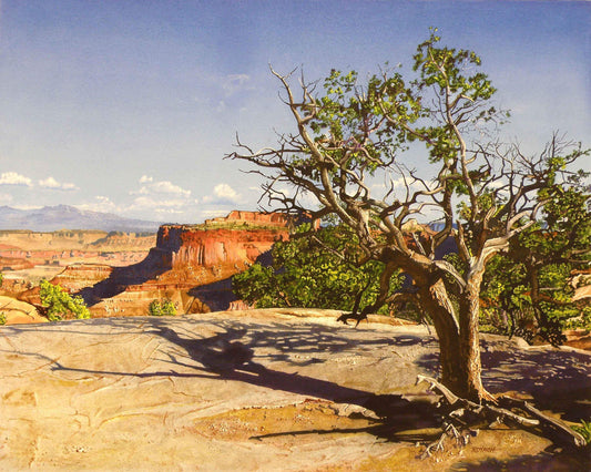 Marlin Rotach-Sorrel Sky Gallery-Painting-Deep Shadows on the Mesa