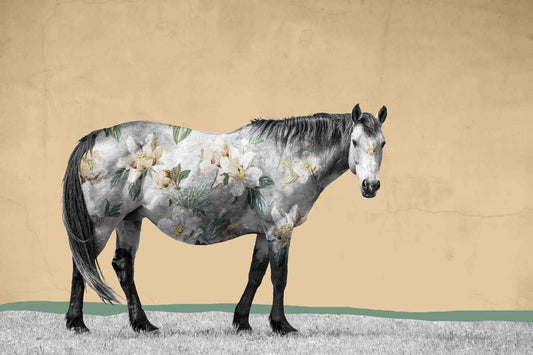 Miles Glynn-Horse No. 24-Sorrel Sky Gallery-Print