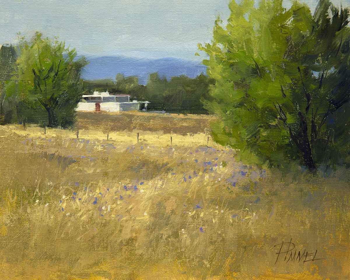 Peggy Immel-Asters and White Adobe-Sorrel Sky Gallery-Painting