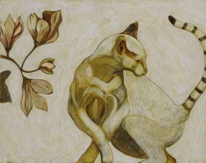 Phyllis Stapler-Sorrel Sky Gallery-Print-Ringtailed Cat