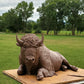 Buffalo-Sculpture-Star Liana York-Sorrel Sky Gallery