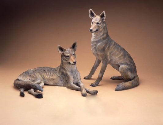 Coyote Couple