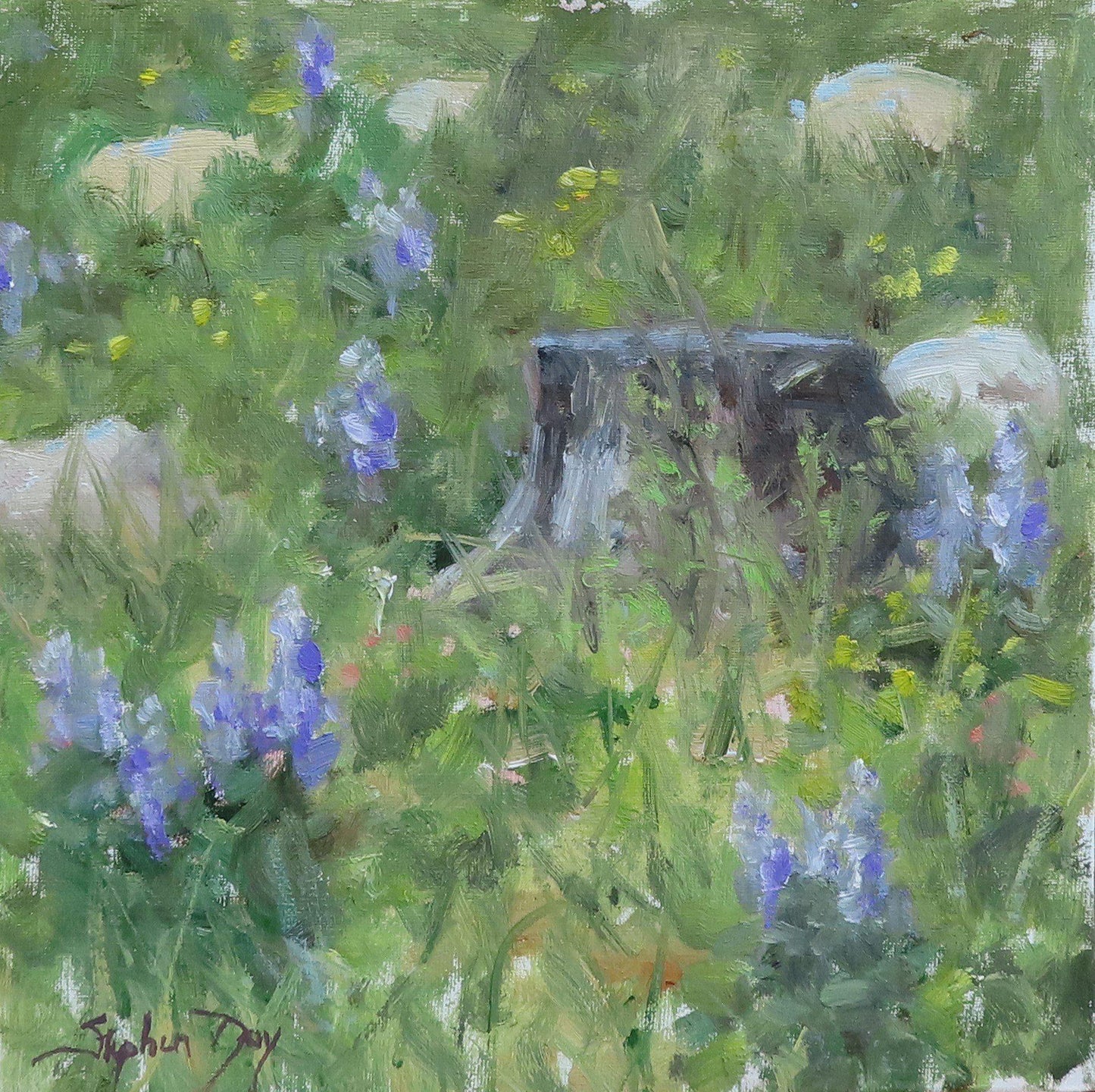 Mountain Meadow Spring-Painting-Stephen Day-Sorrel Sky Gallery