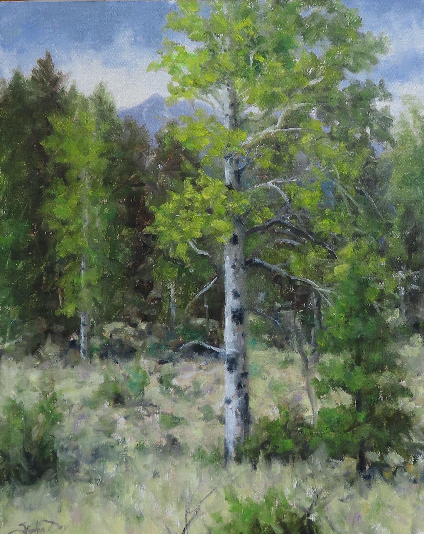 Old Growth Aspen-Painting-Stephen Day-Sorrel Sky Gallery