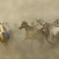 Storm-Photographic Print-Tony Stromberg-Sorrel Sky Gallery